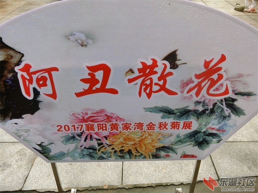 CIMG1027.JPG