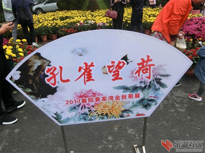 CIMG1041.JPG