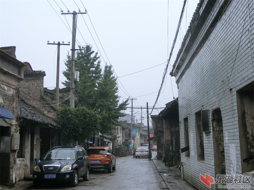 CIMG1191.JPG