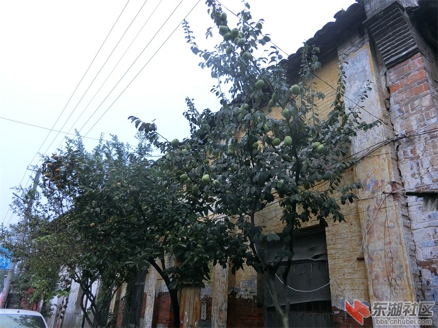 CIMG1200.JPG