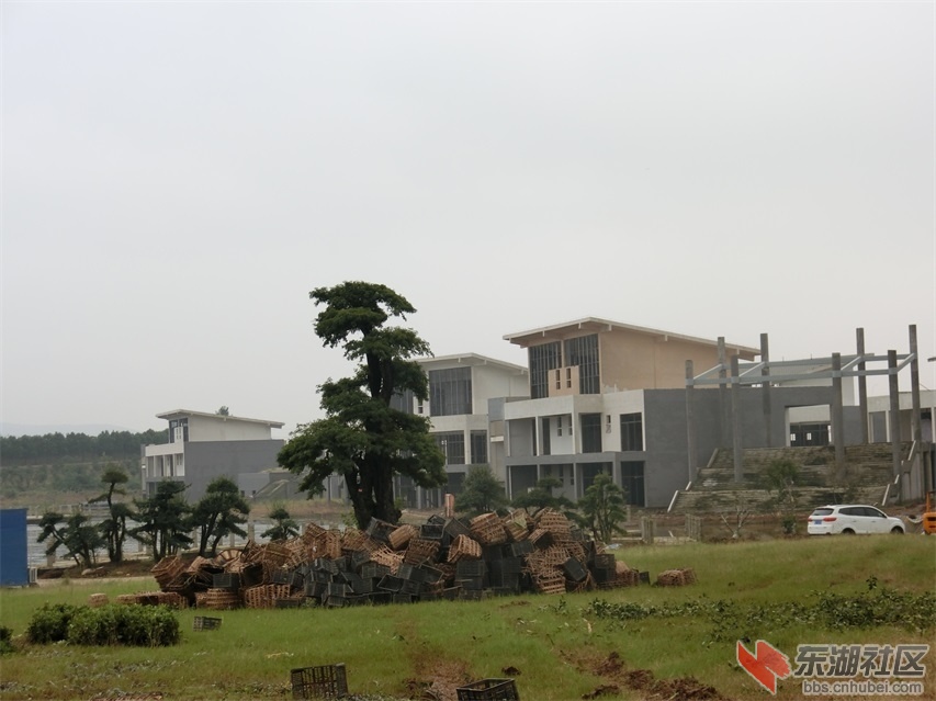 CIMG1724.JPG