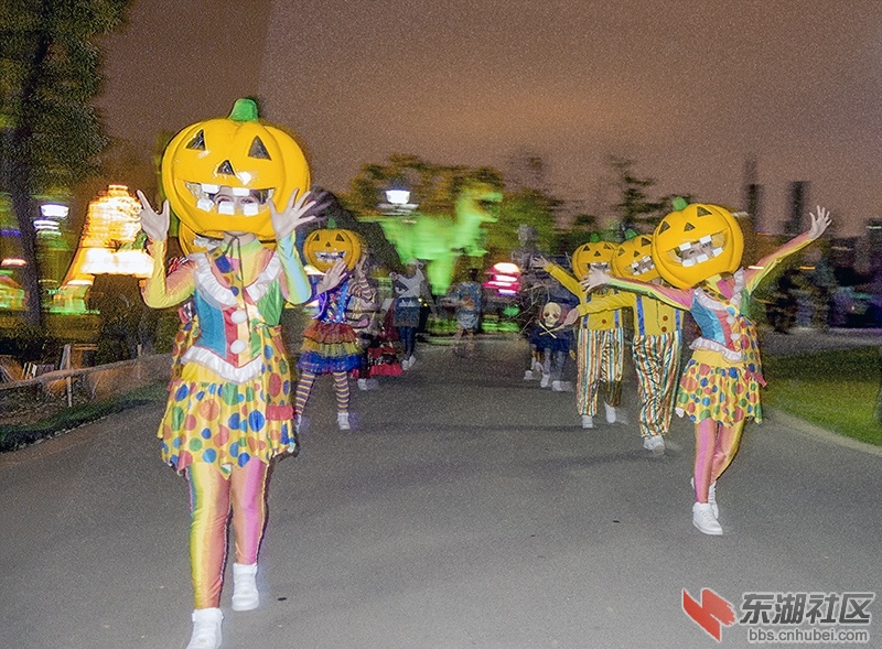 013    DSC08415-恢复的.jpg