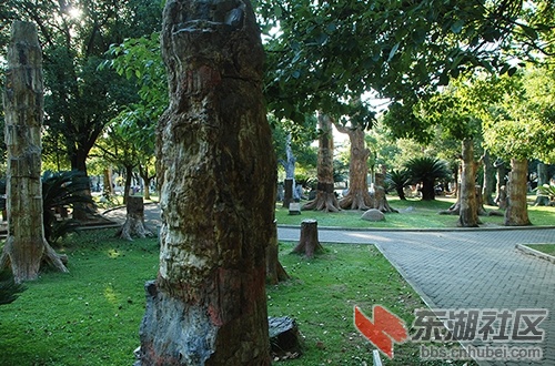 尹林（网名 赢木木）拍摄于武汉地大
