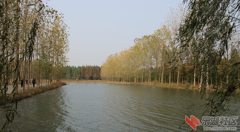 IMG_5348_爱奇艺_副本.jpg