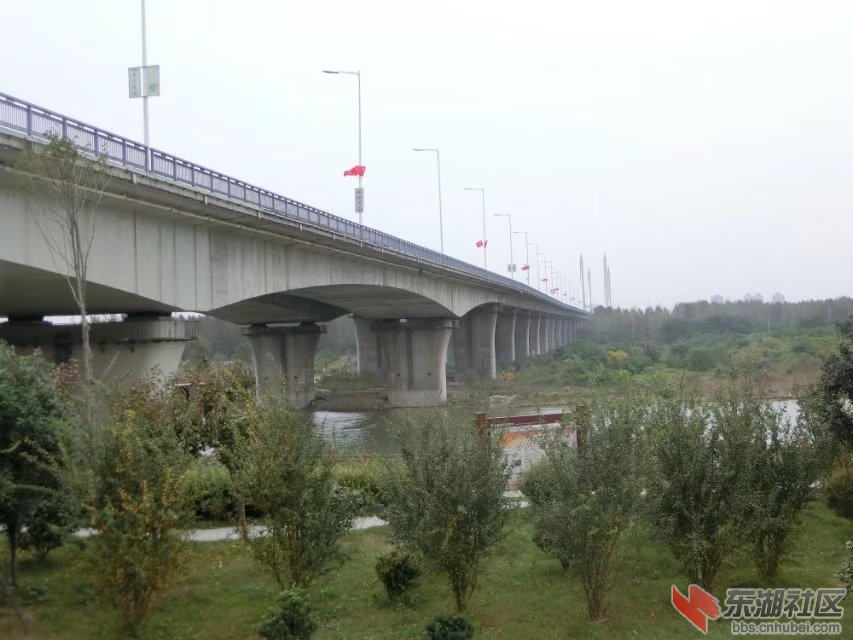 CIMG5668.jpg