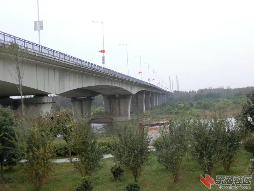 CIMG5669.jpg