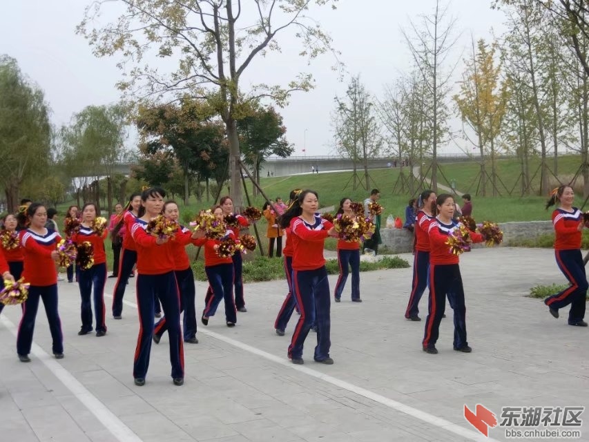 CIMG5688.jpg