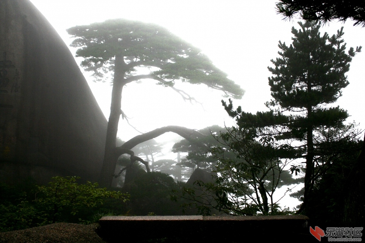 _MG_4485.JPG