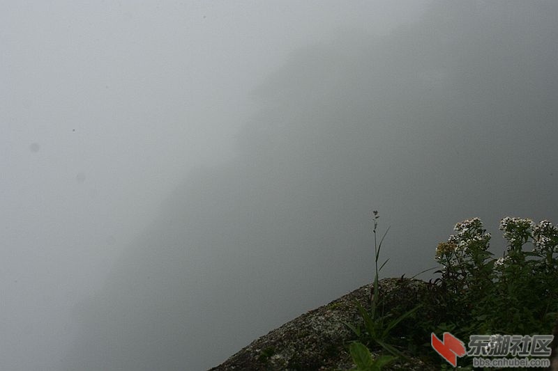 _MG_4497.JPG