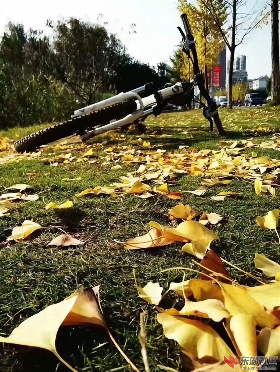 444.jpg