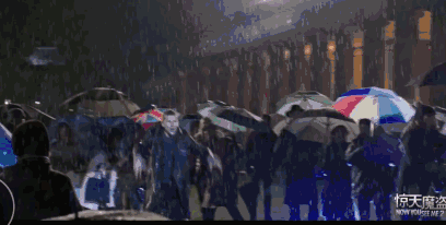 6364619214237260336106305 (1).gif
