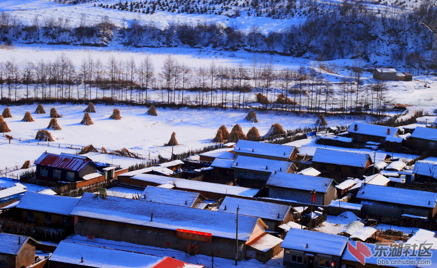 QQ截图20141120121103.png