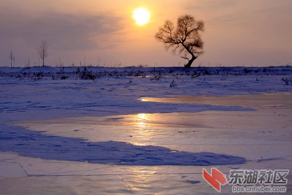 雪乡 (17).png