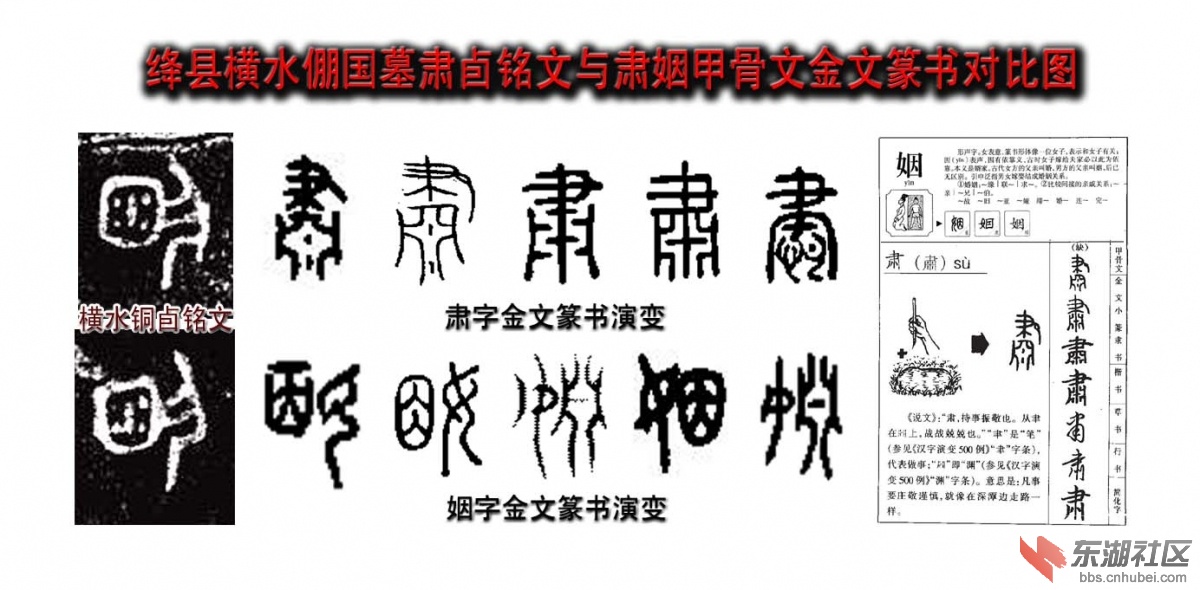 绛县横水倗国墓肃卣铭文与肃姻甲骨文金文篆书对比图