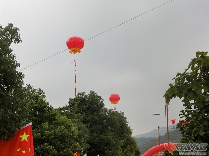 CIMG2575.JPG