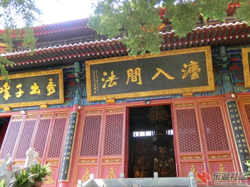 CIMG8454.jpg