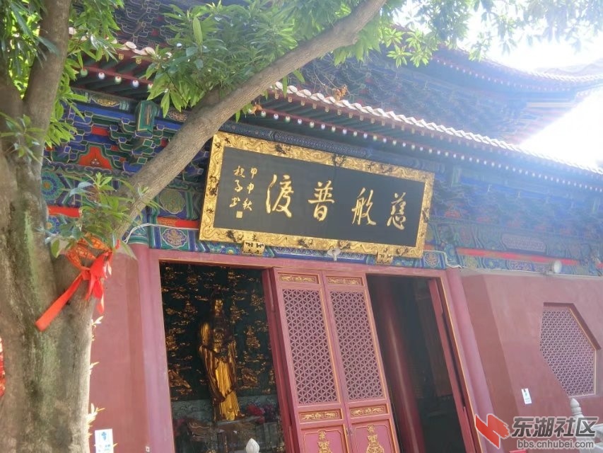 CIMG8459.jpg
