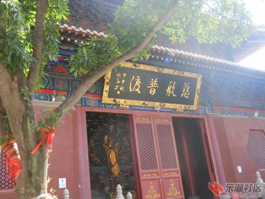 CIMG8460.jpg