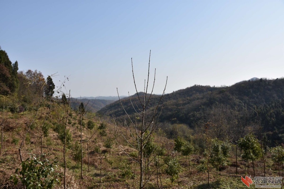 DSC_1111.JPG