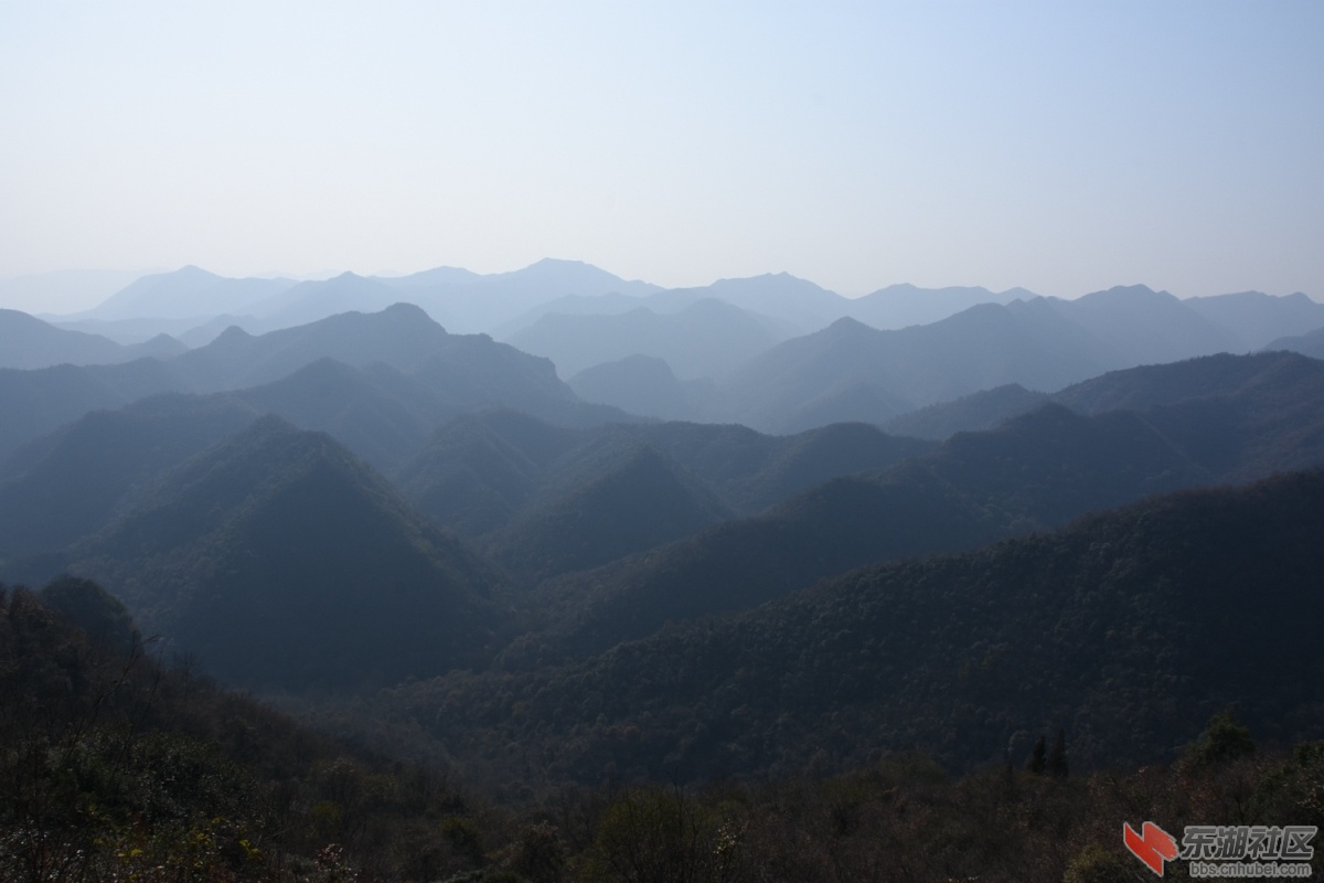 DSC_1174.JPG