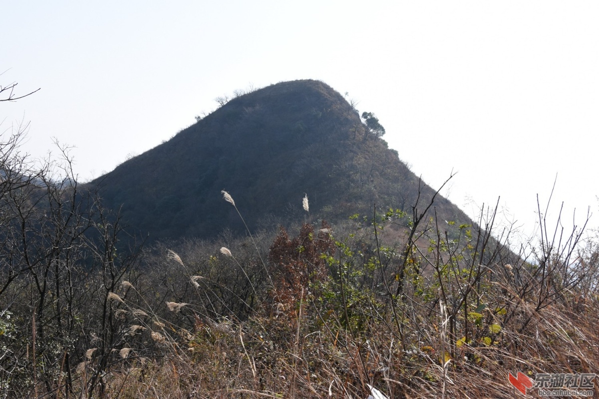 DSC_1183.JPG