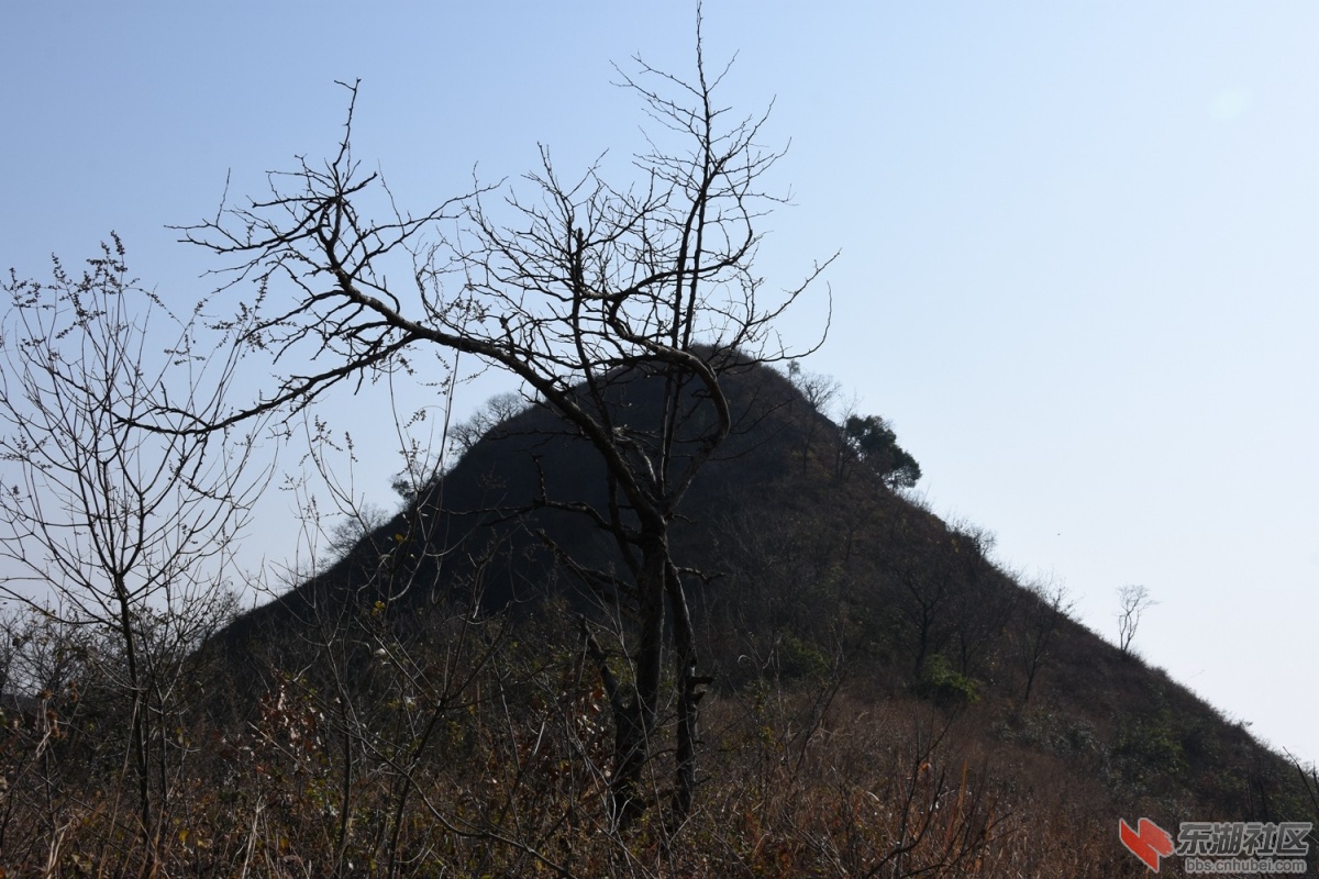 DSC_1184.JPG