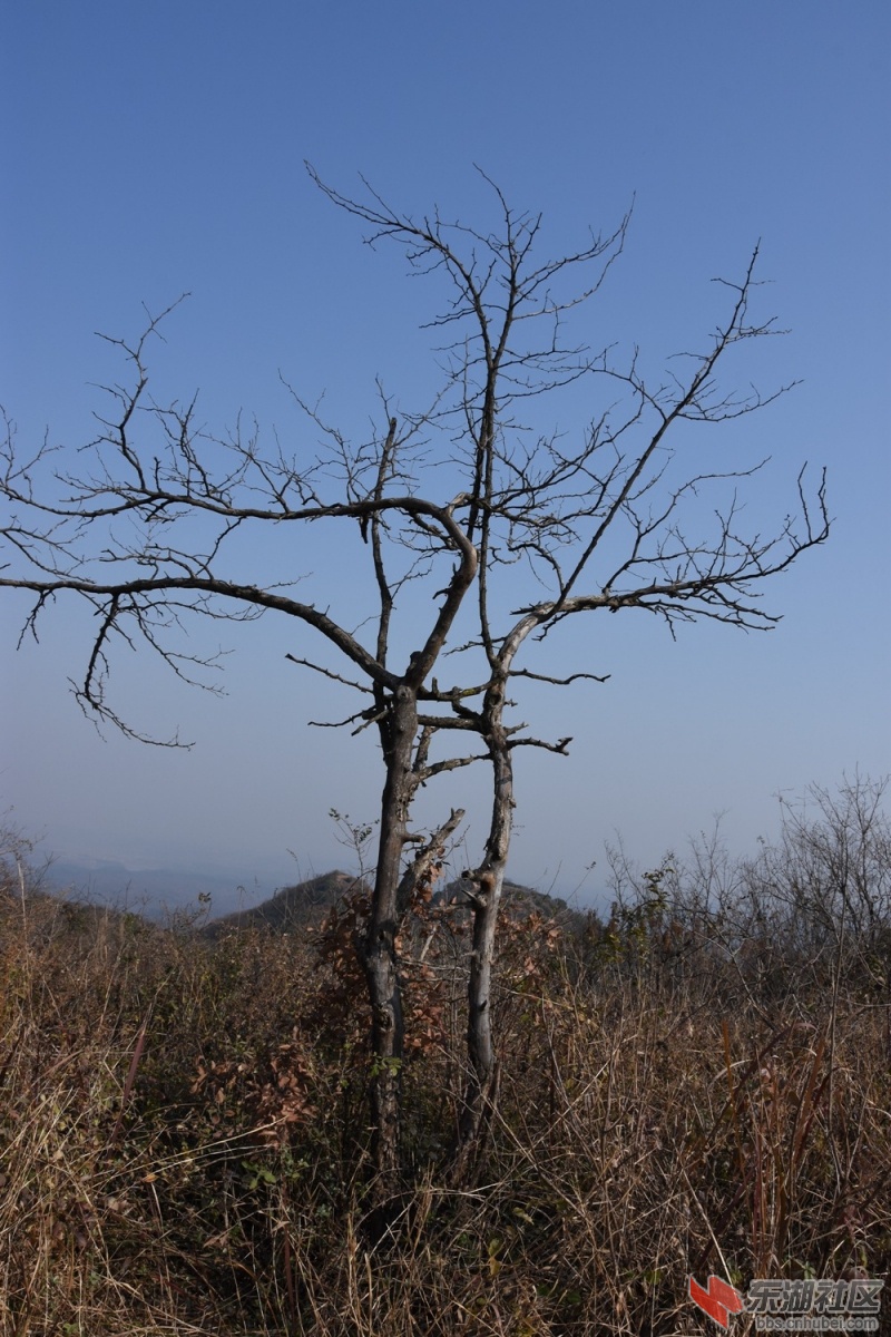 DSC_1185.JPG