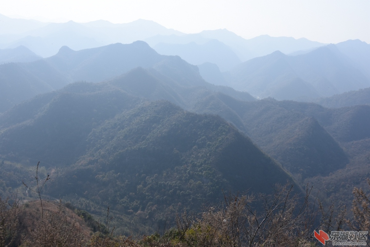 DSC_1191.JPG