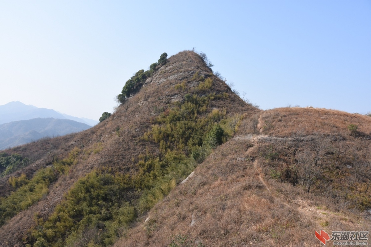 DSC_1197.JPG