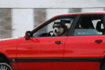 0.gif