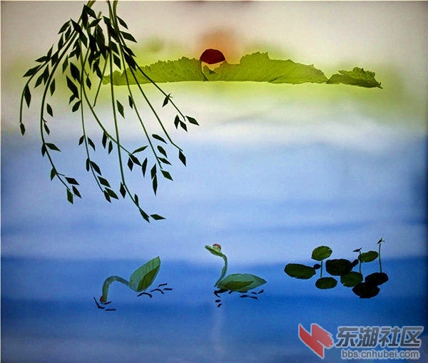 7fa92467gy1fm3bbxmzotj20go0e50vv.jpg