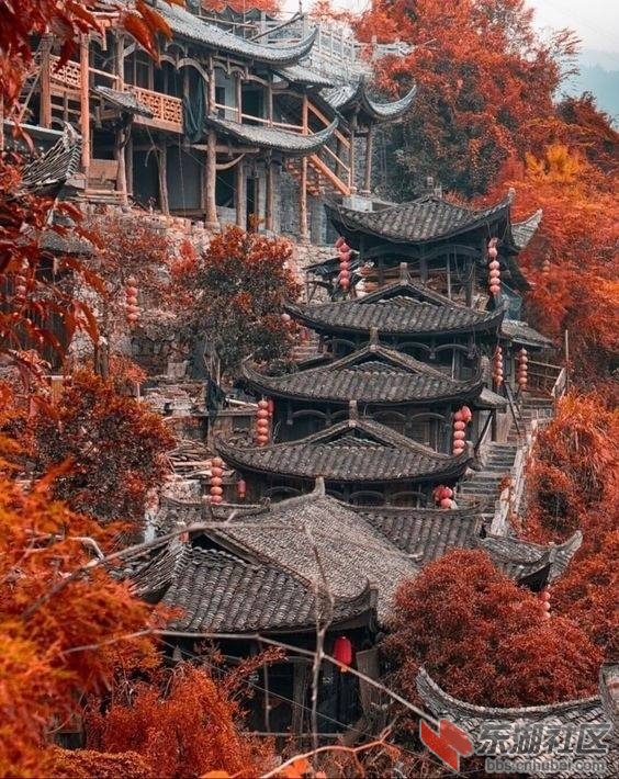 QQ图片20171214084941.jpg