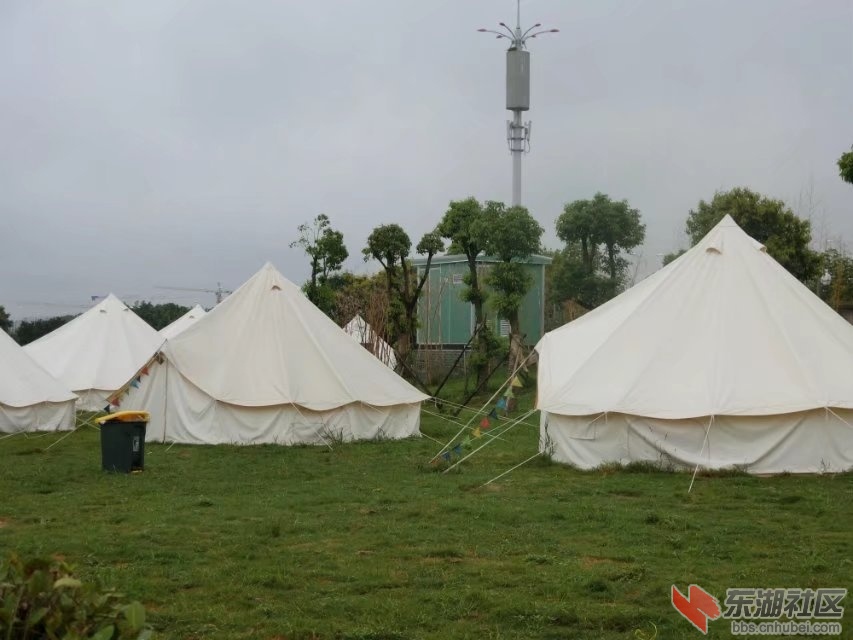 CIMG8595.jpg