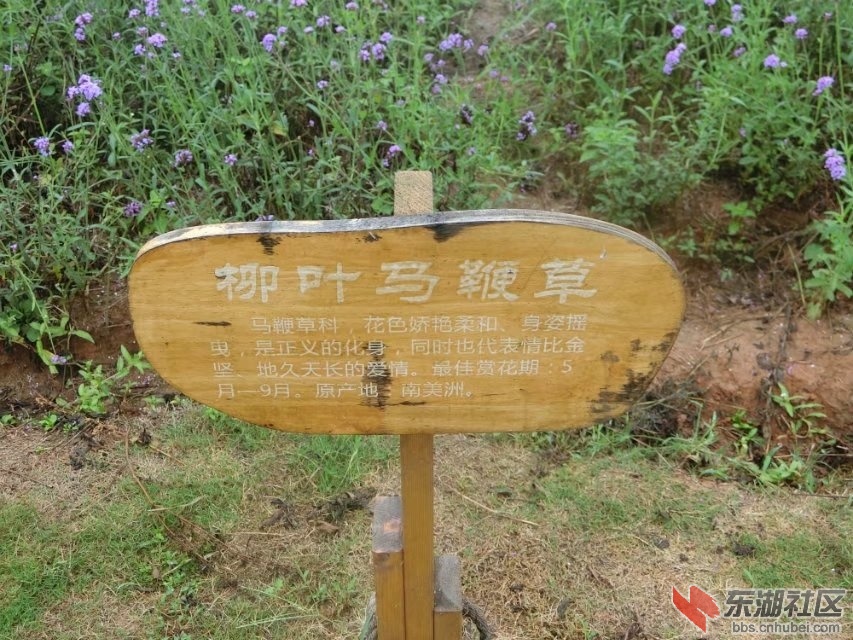 CIMG8612.jpg