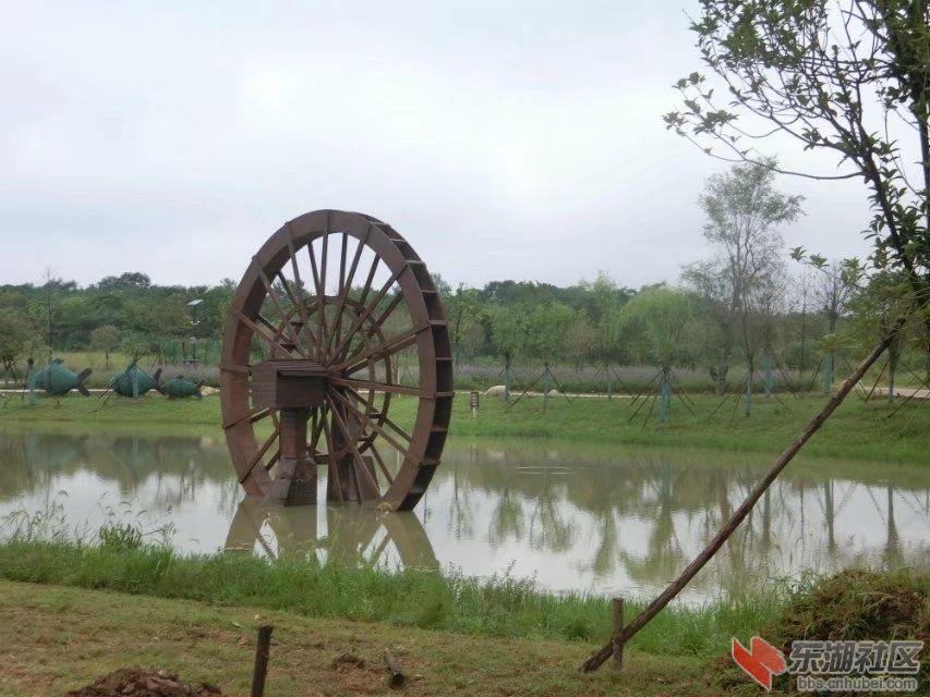CIMG8693.jpg