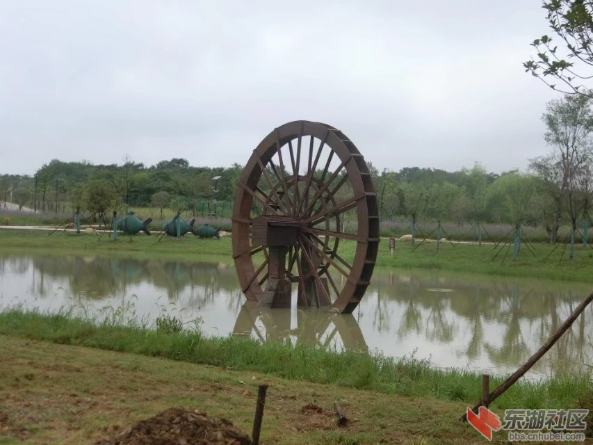 CIMG8692.jpg