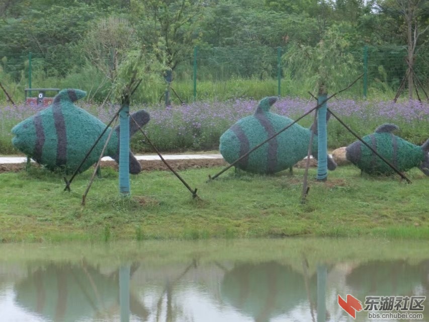 CIMG8697.jpg