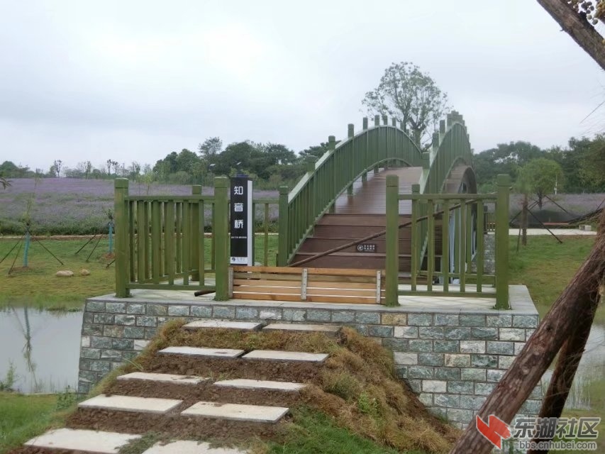 CIMG8716.jpg