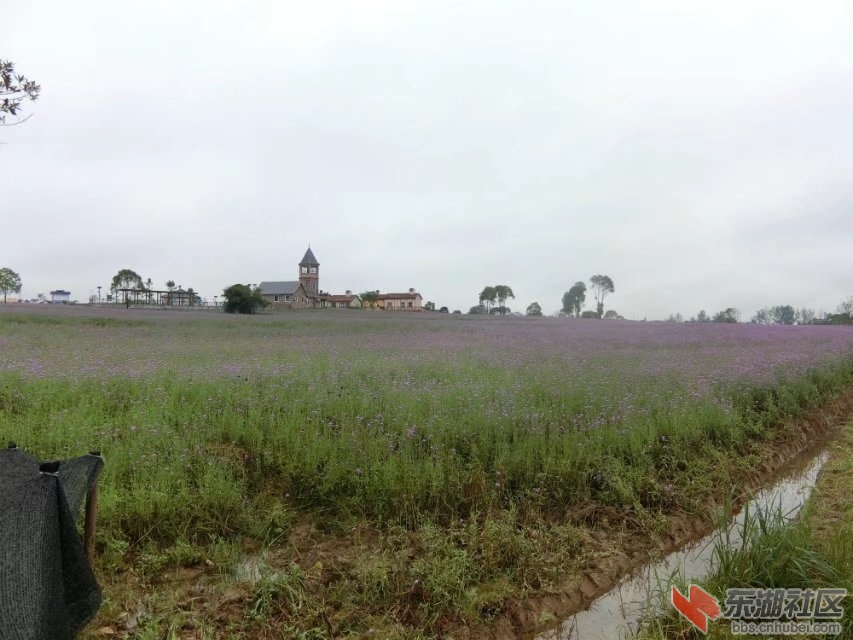 CIMG8719.jpg