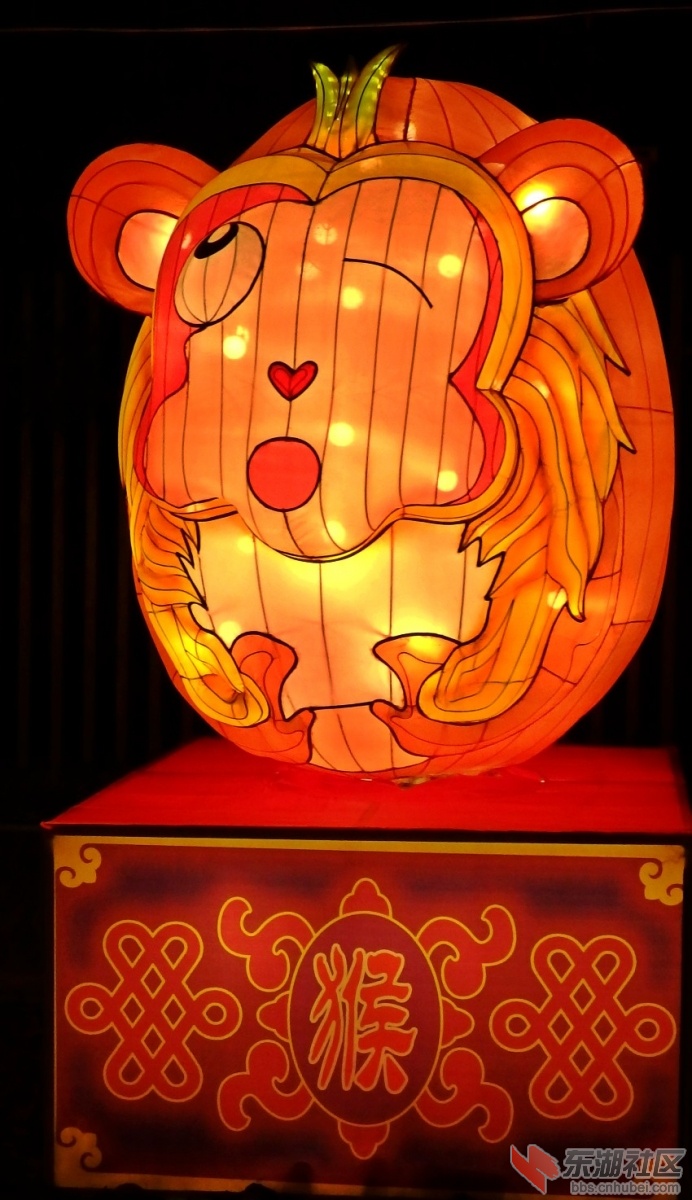 PC250527_conew1.JPG
