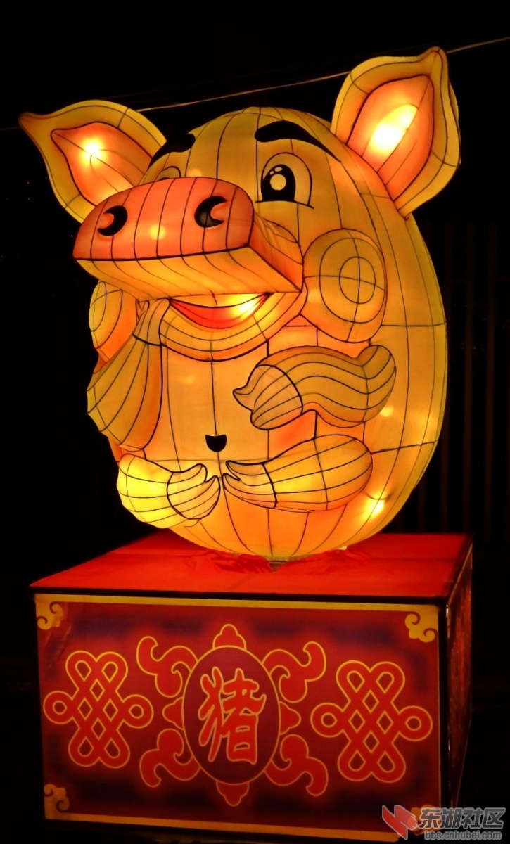 PC250531_conew1.JPG