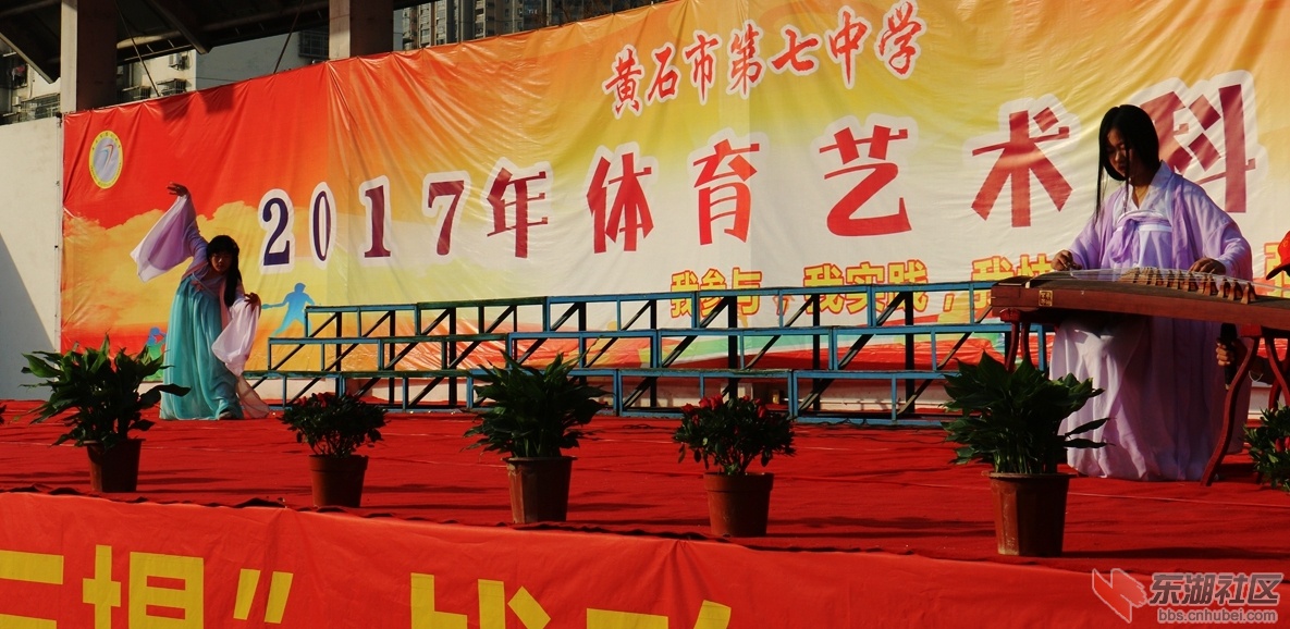 175.jpg