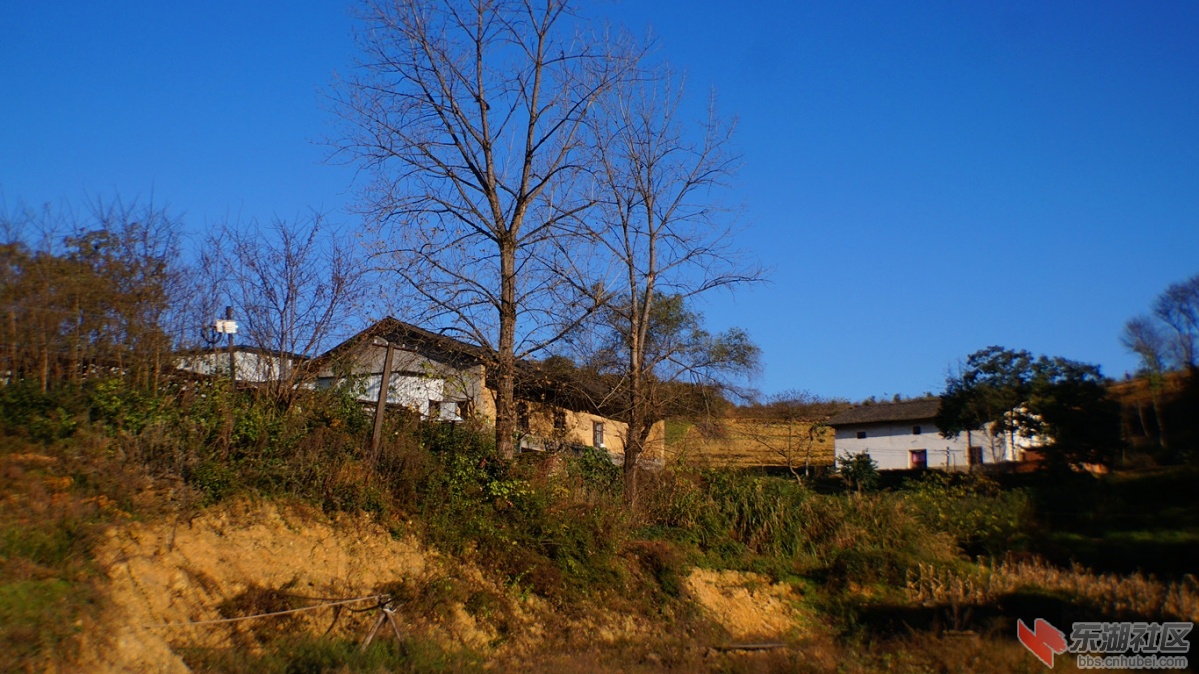 4.DSC07475_副本.jpg