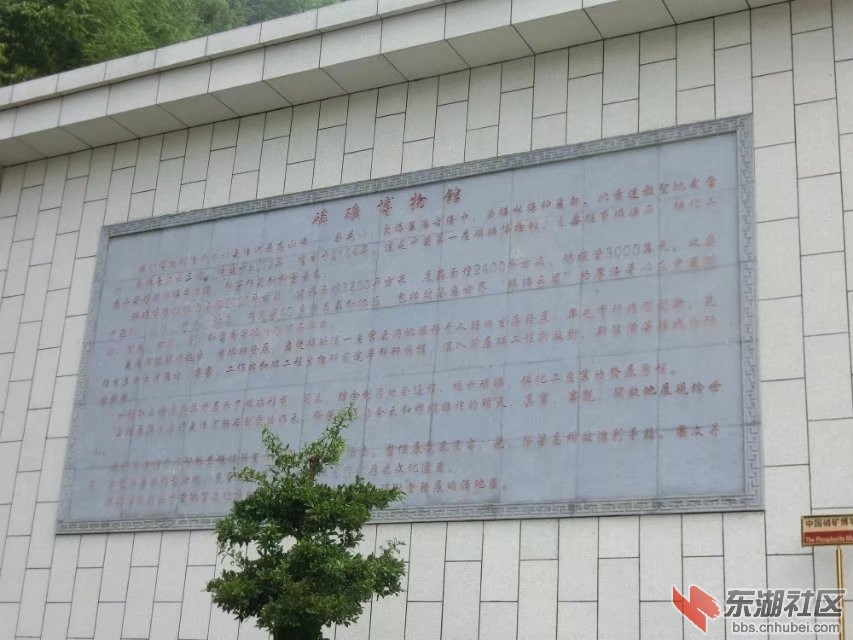 CIMG7106.jpg