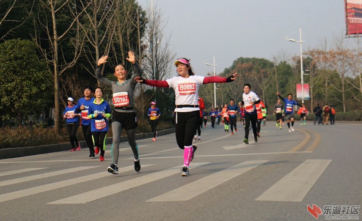 050.jpg