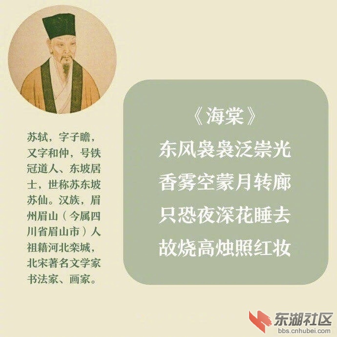a212f0aagy1fn5z76z8mfj20j60j6wg6.jpg