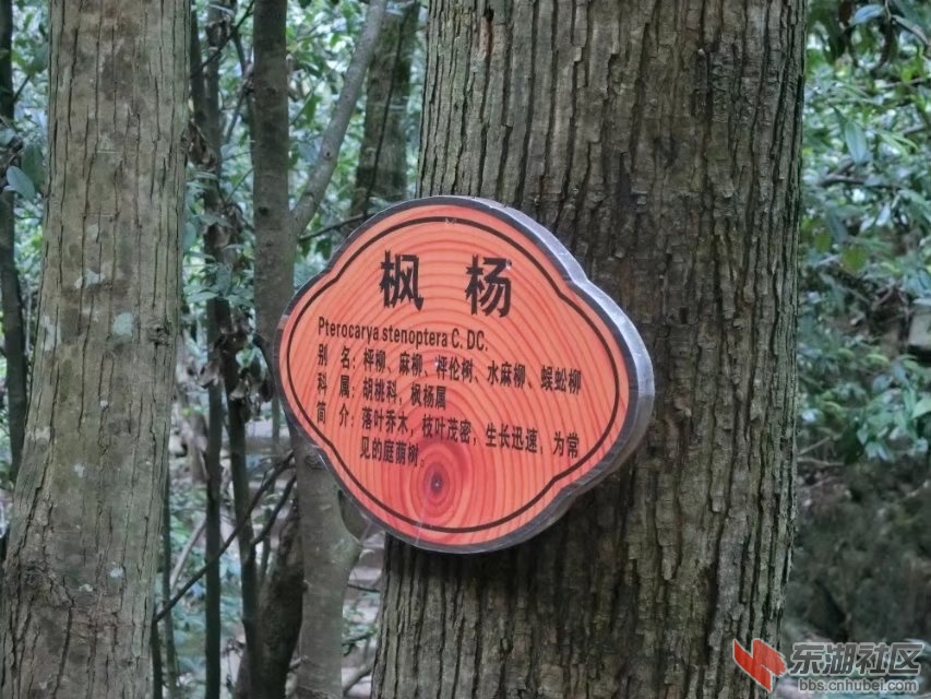 CIMG7326.jpg
