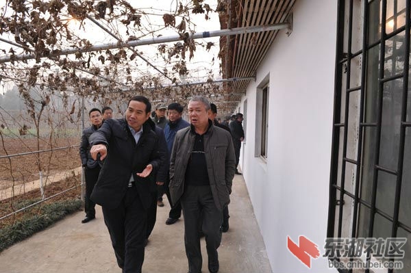 蛛丝马迹.jpg