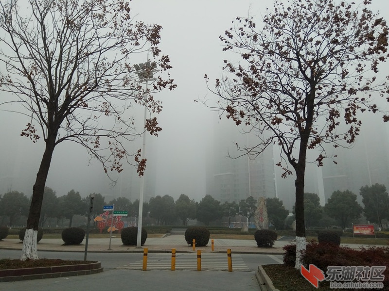 002十字路口望民发
