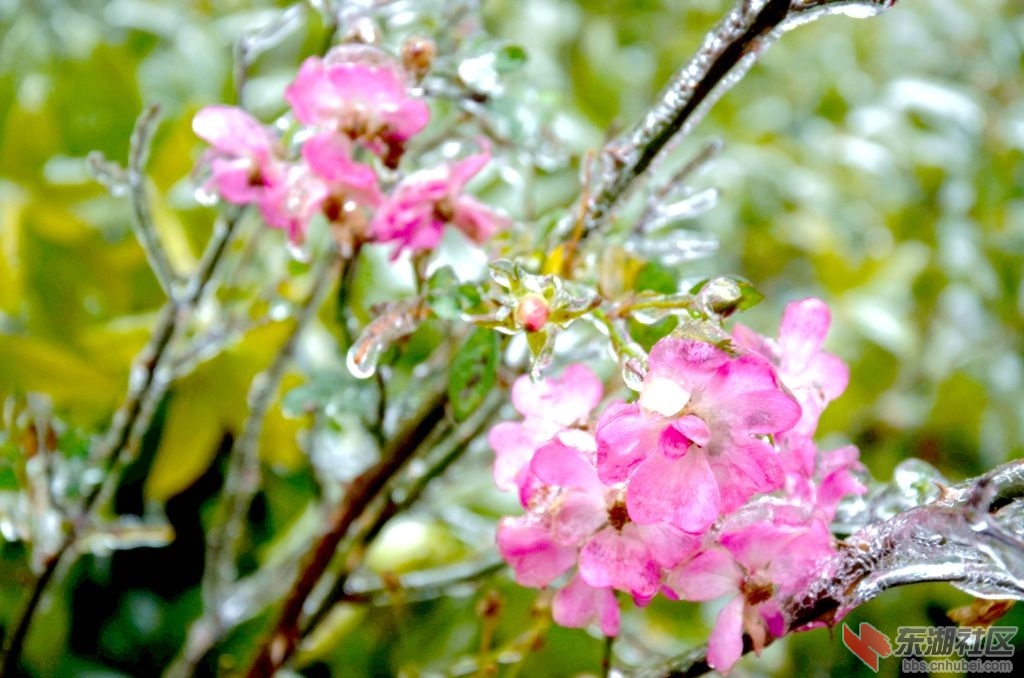 DSC_2907.jpg
